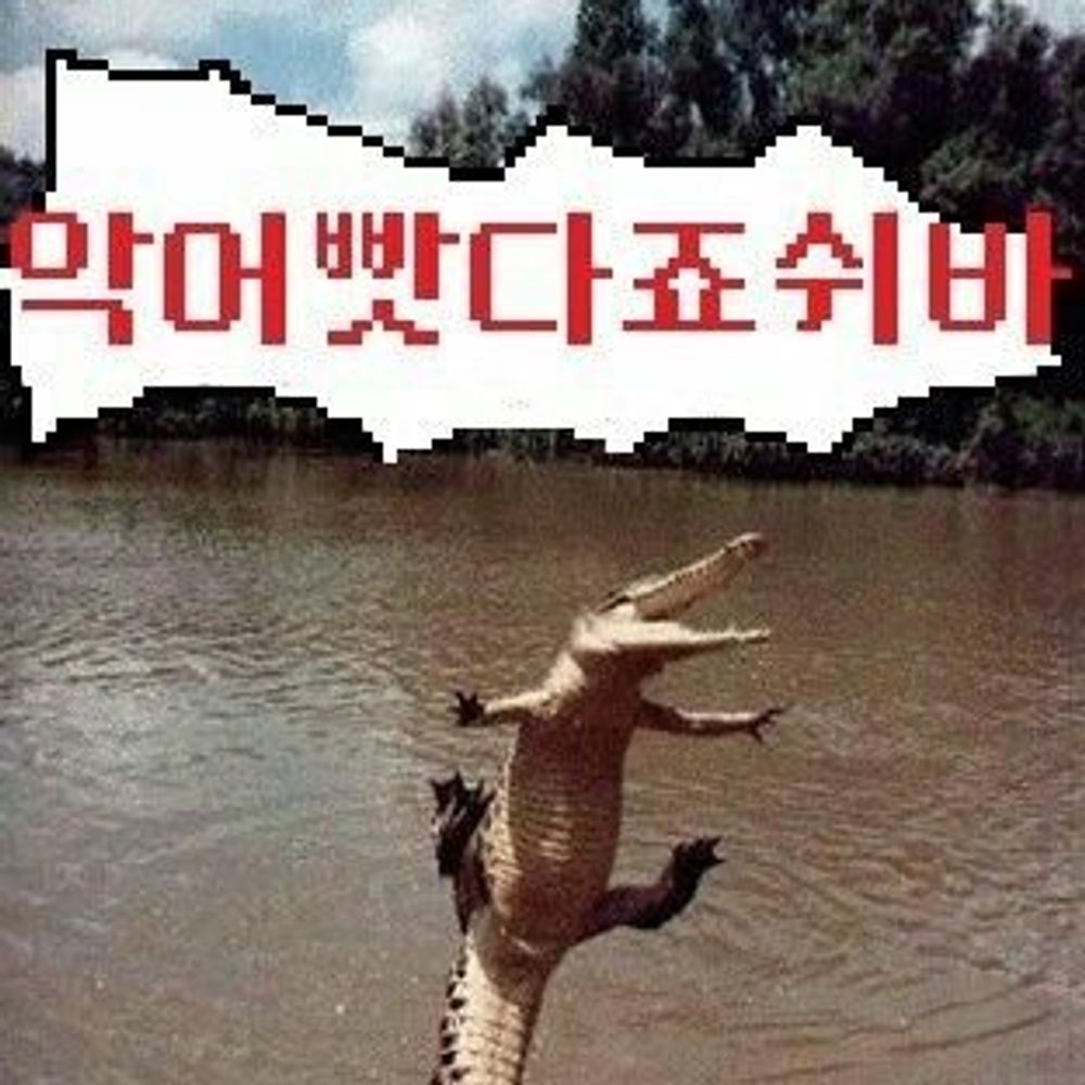 🐊