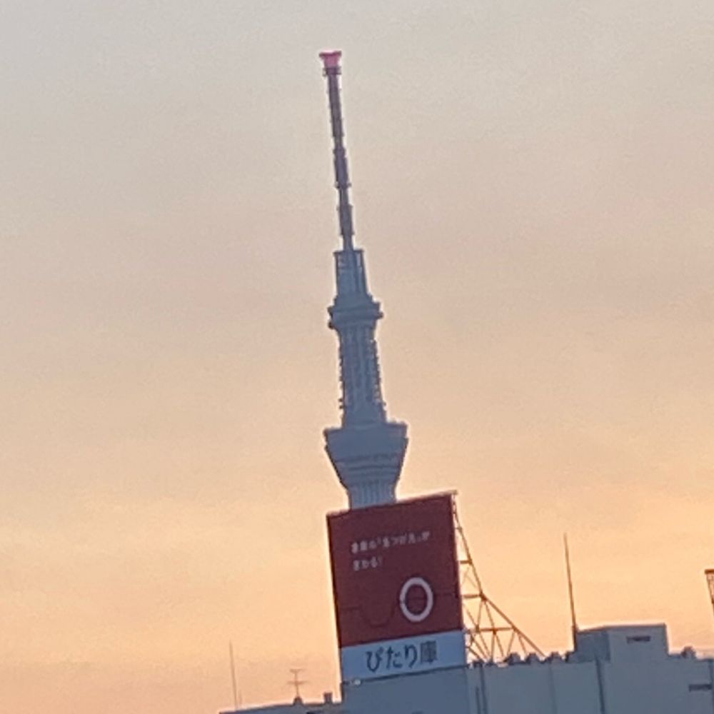 なころ