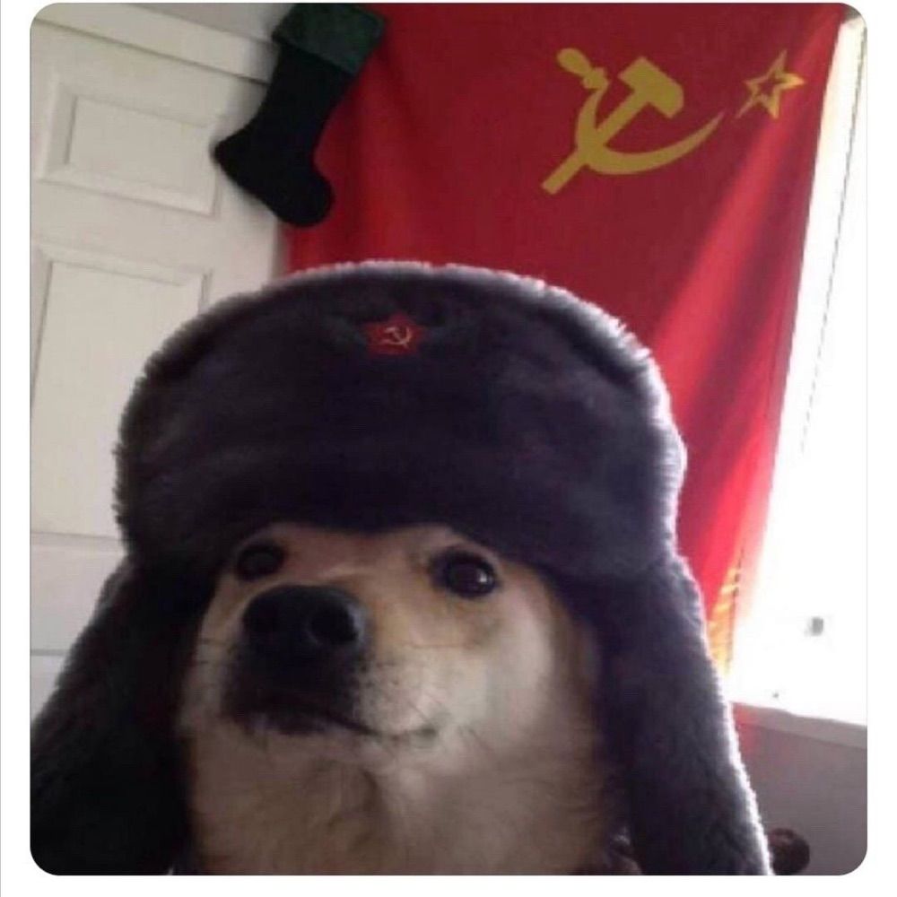 Gnelfa