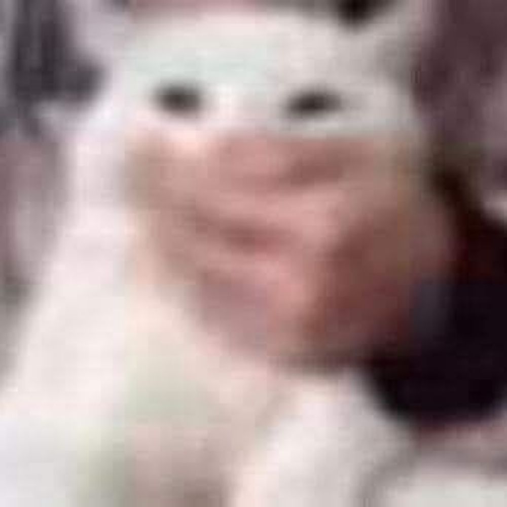 😶‍🌫️