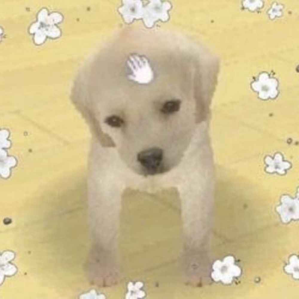 루비 . ̫.