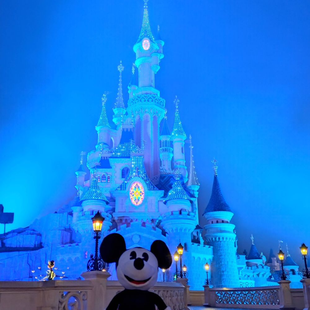 Disney Dreamer