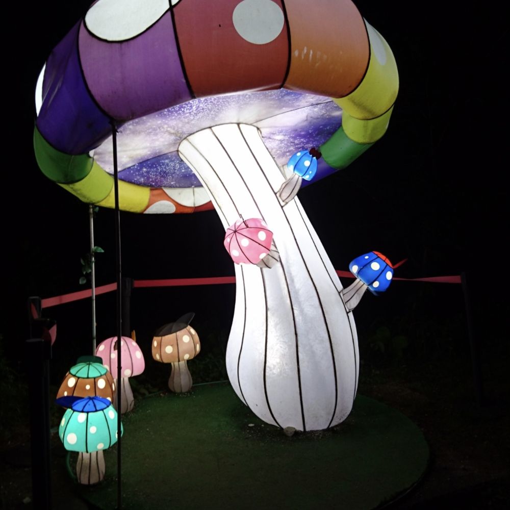 ハル