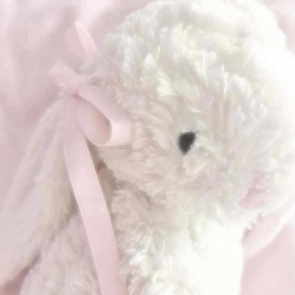 bunny ૮꒰ ˶• ༝ •˶꒱ა ♡