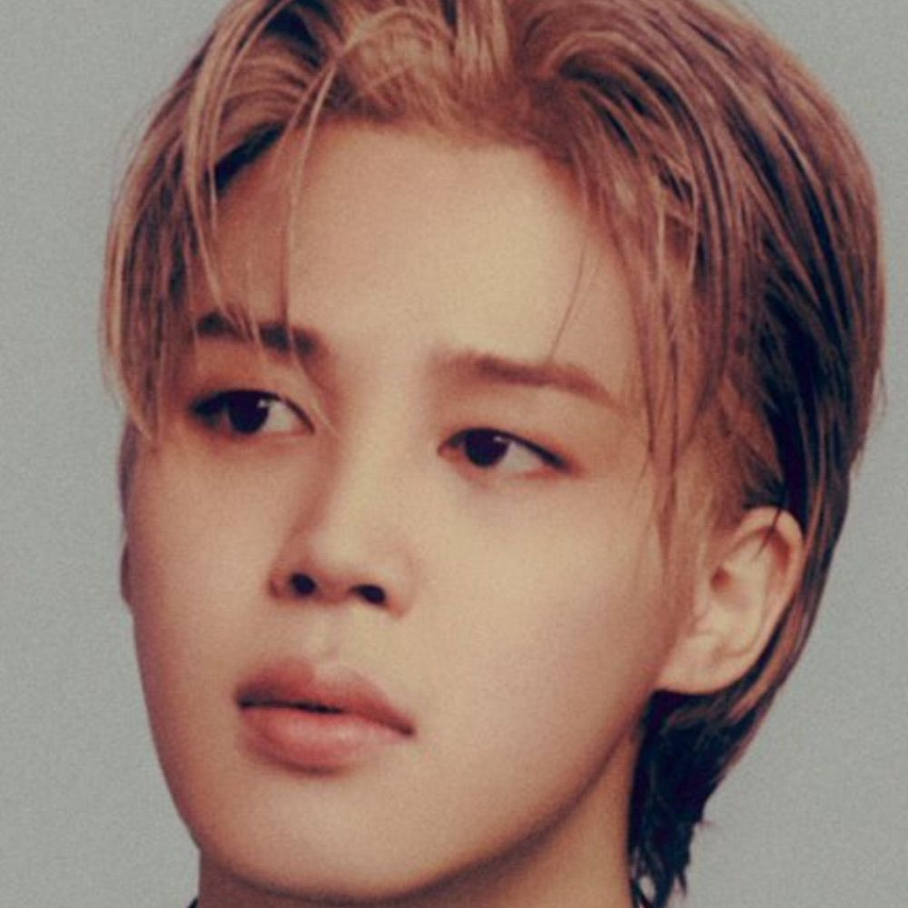 Profile picture jiminsg1rlbtsluv.bsky.social