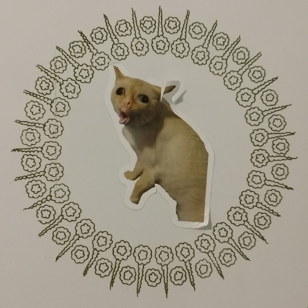 Chimpinho