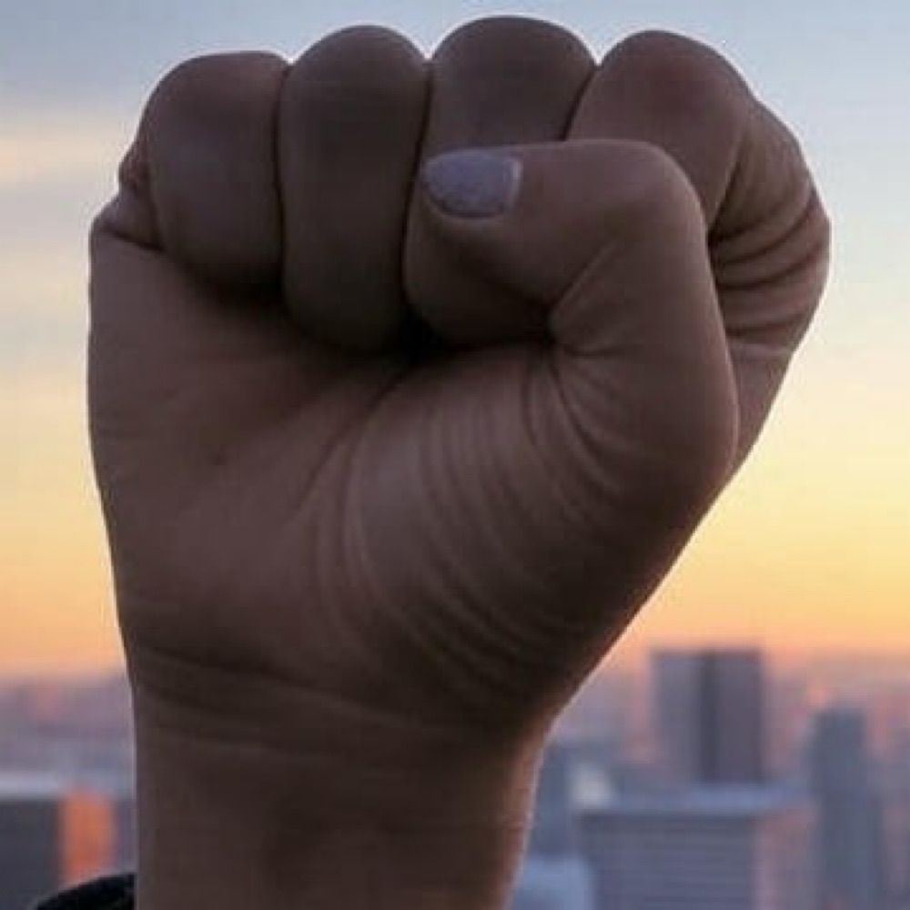 Democratic Freedom Fighter