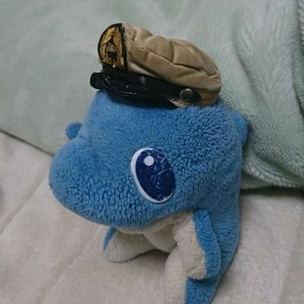 まっくすとき🐬