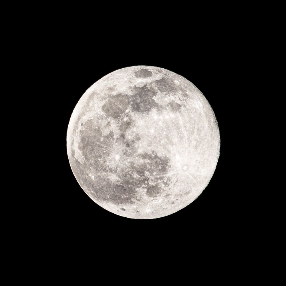 𝙉𝙊𝙓🌙