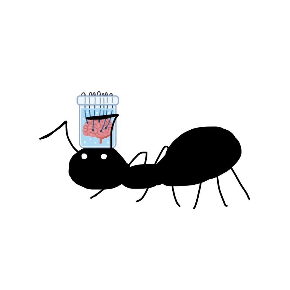 アリ
