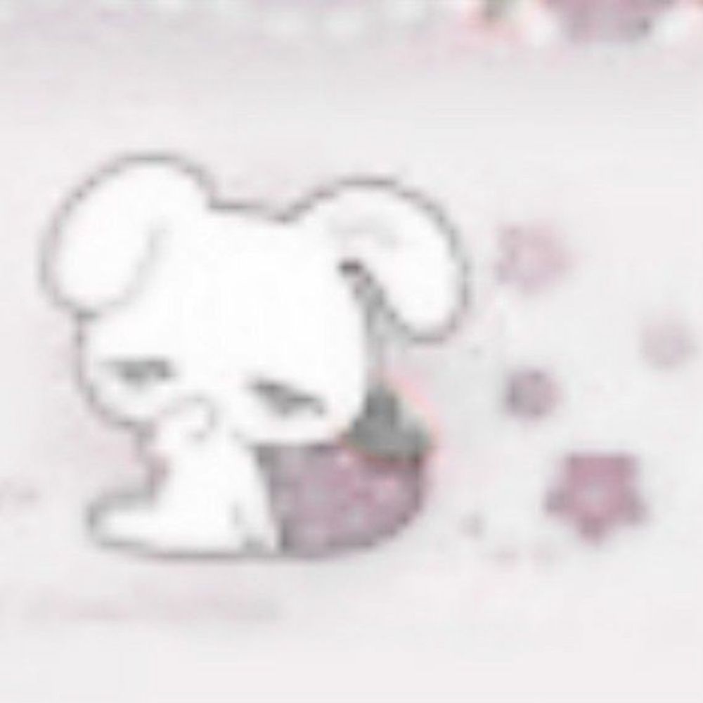 🐇