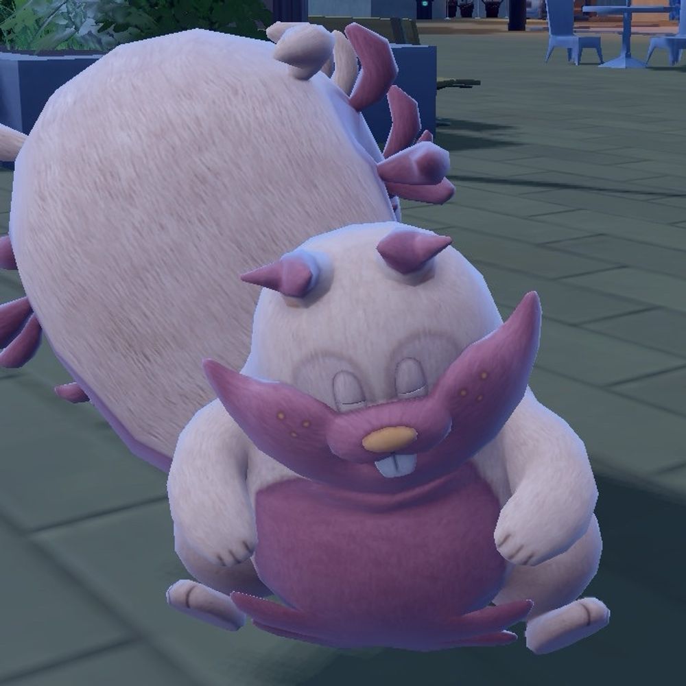 ﾄﾞﾗﾋﾟｯﾋﾟ