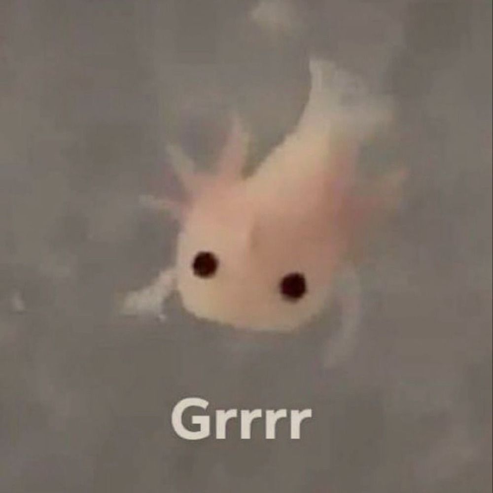 ㅤ