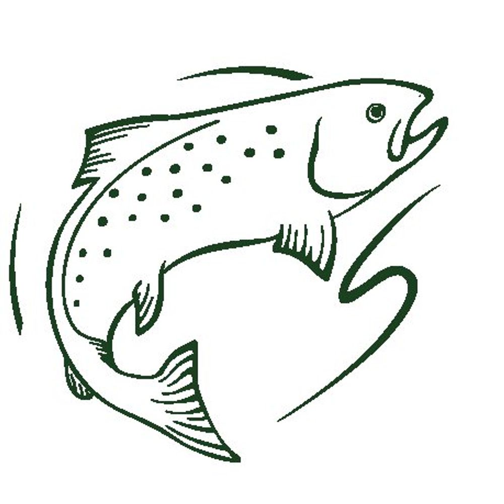 Wild Trout Trust