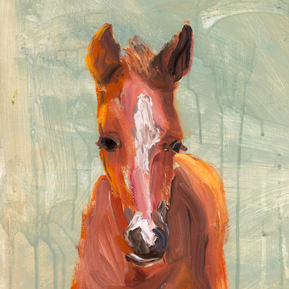 Robbie Coburn