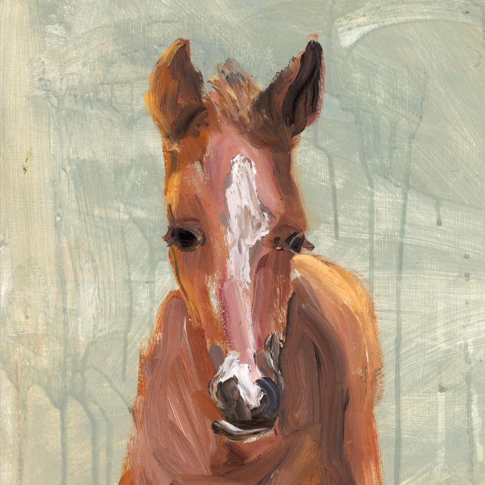 robbie coburn