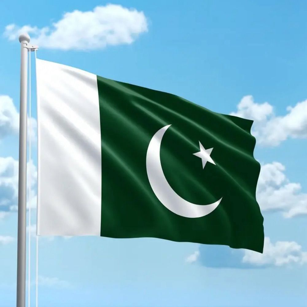 PML N