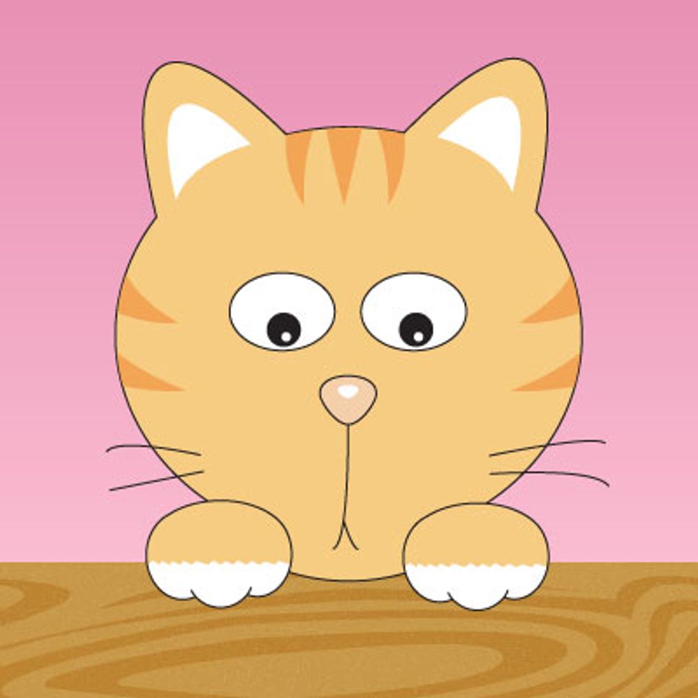 Cococat Design