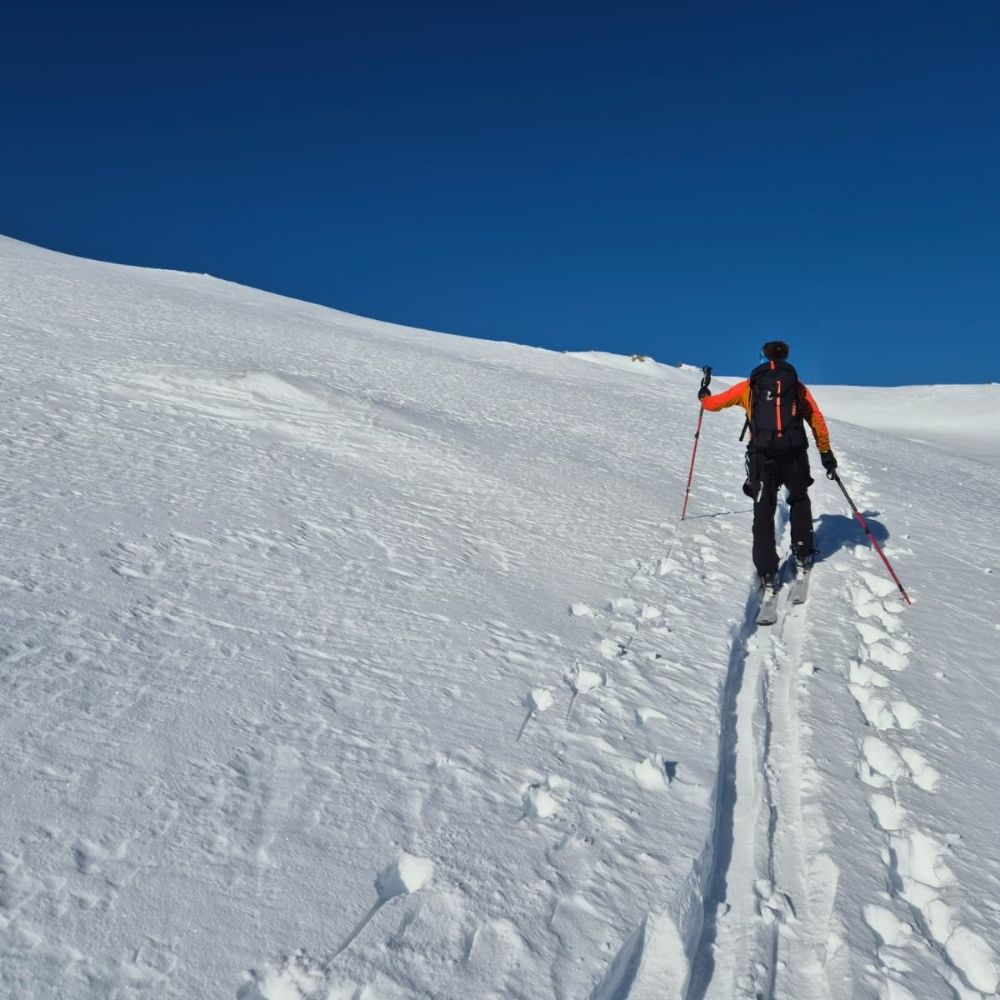 punknroll.bsky.social