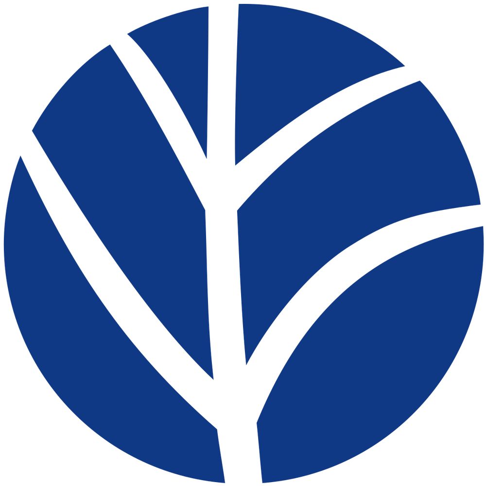 ECONOVO - DNRF Center of Excellence