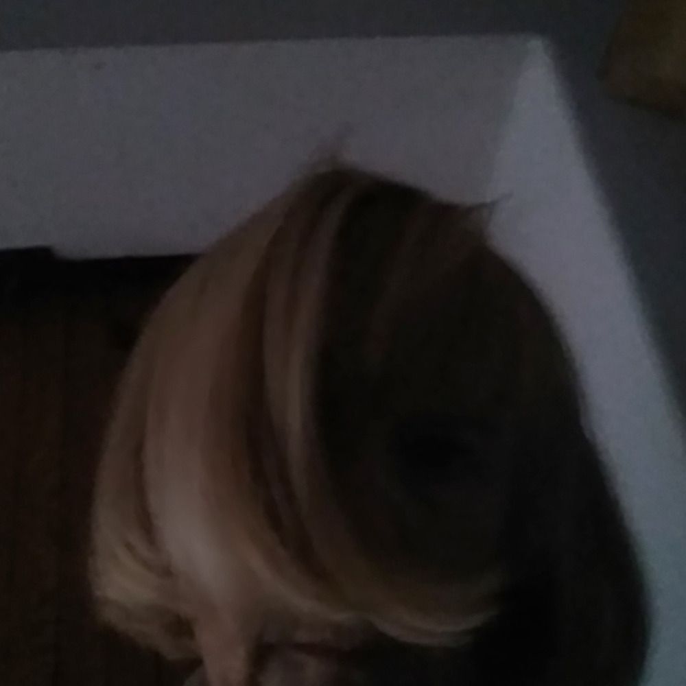 Hamletka