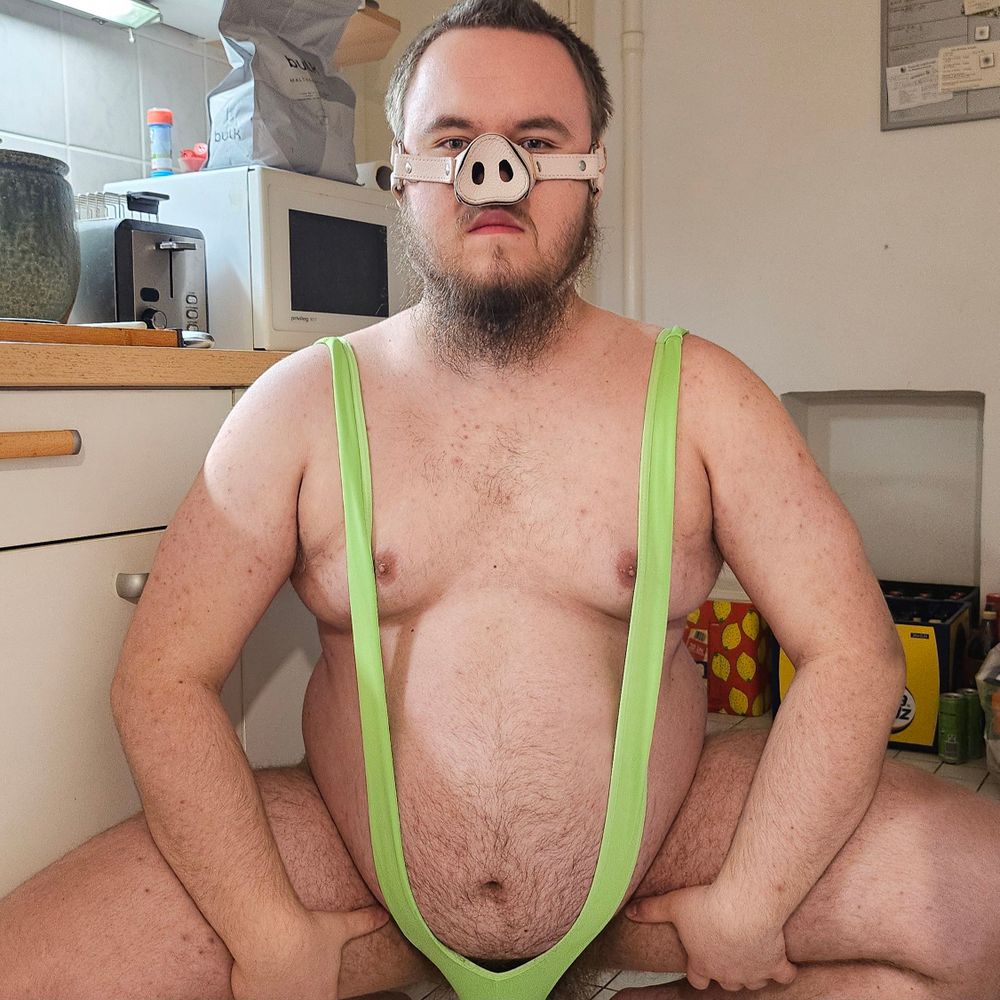 Donkeydicked pig