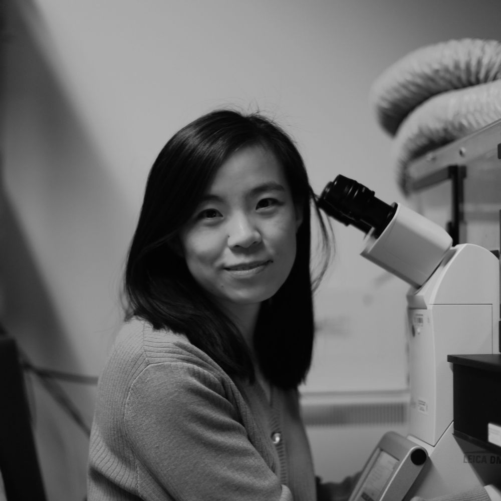 Xiaoyu Chen