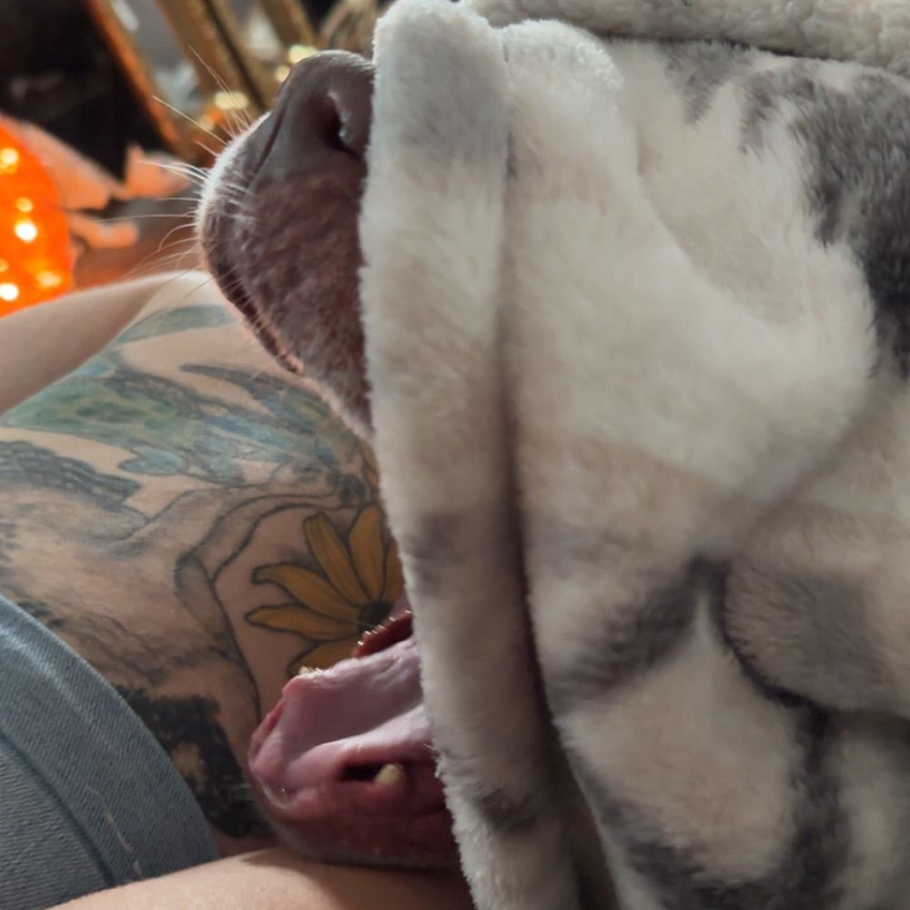 aduttonbutton.bsky.social