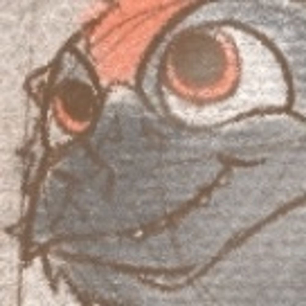 Profile avatar