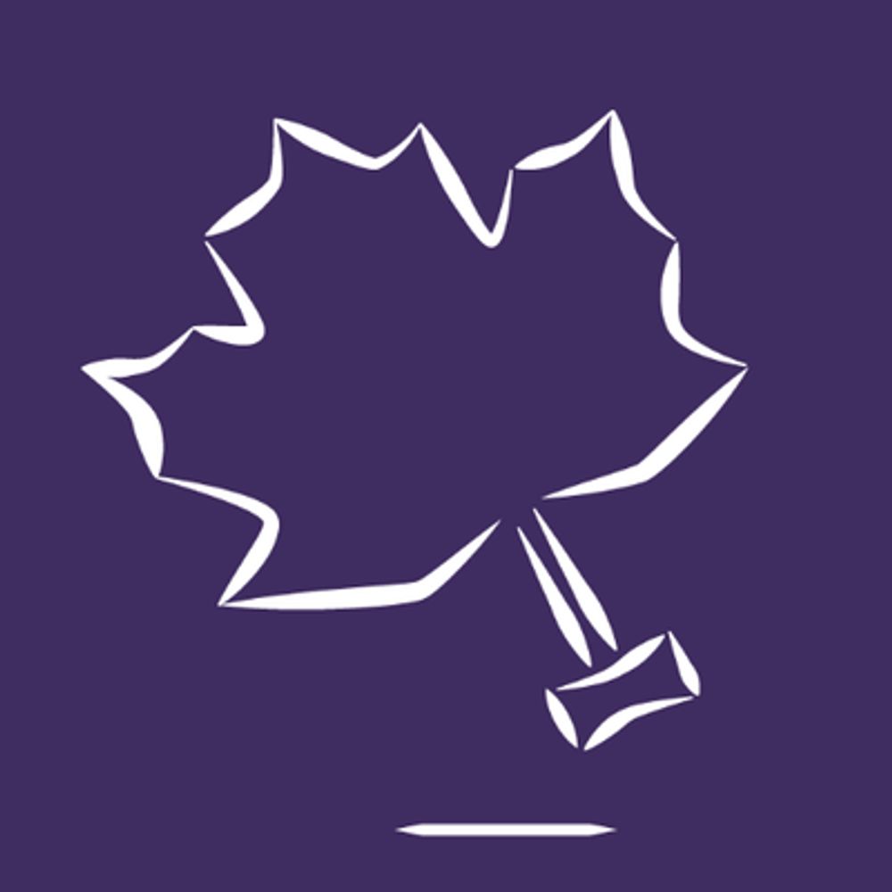 Charter Challenge for Fair Voting