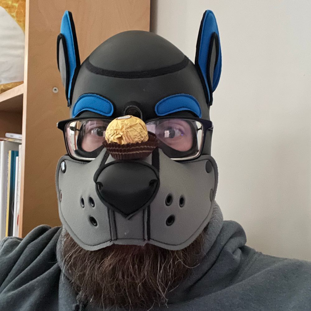 Pup Dragon