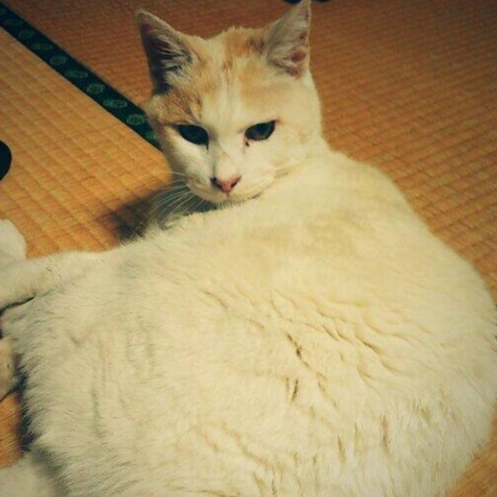 古の牧