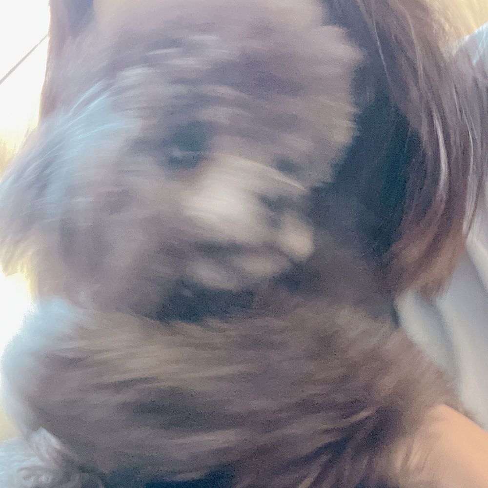 りんな