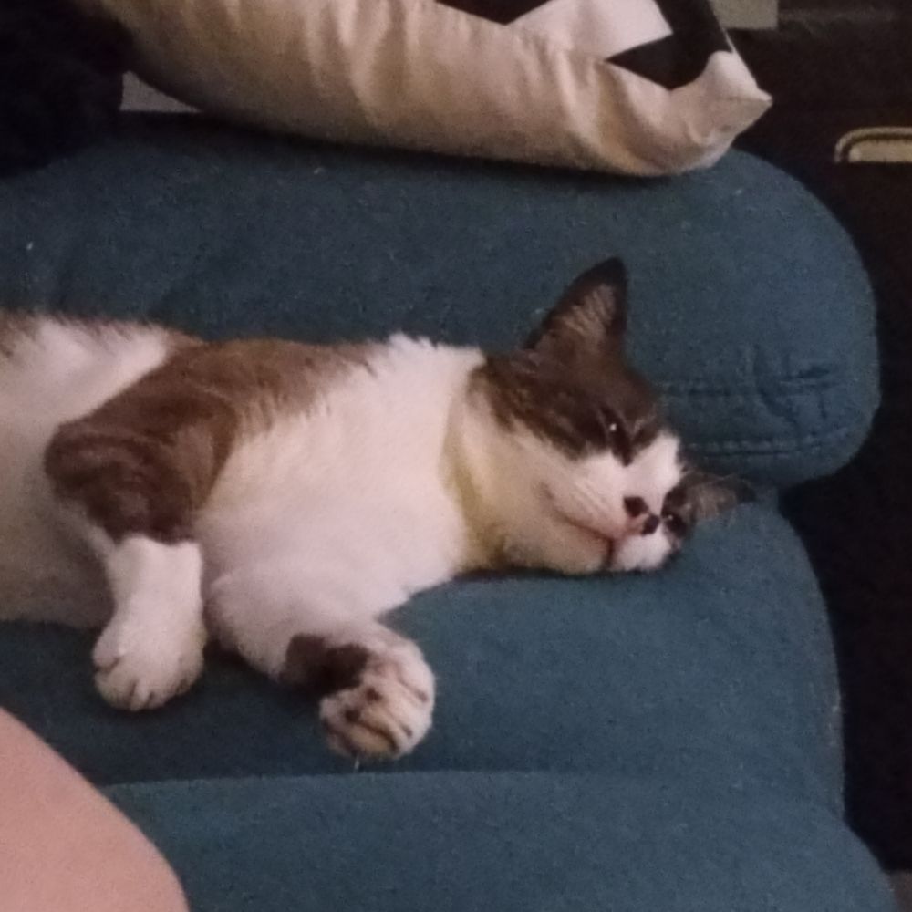 Sat