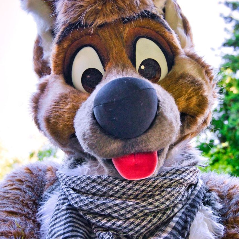 Mo The Coyote