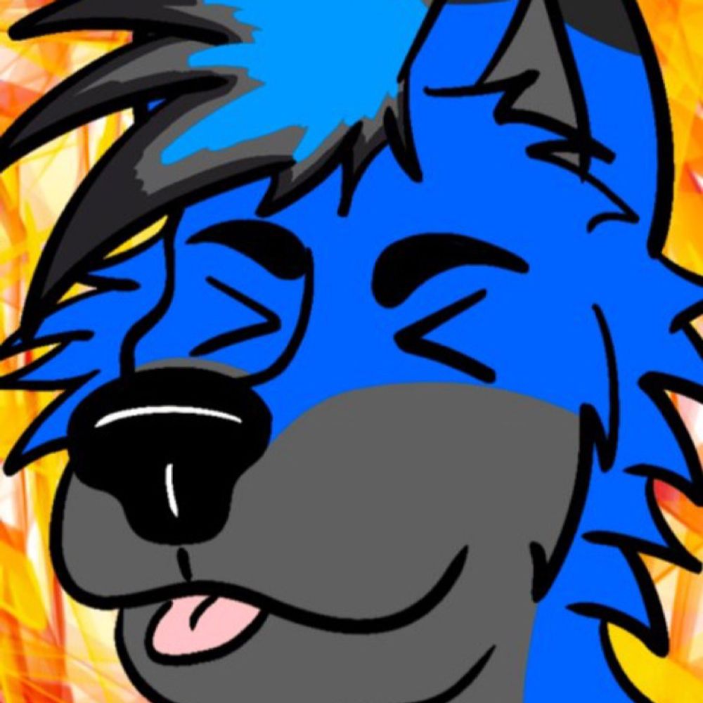 Delta Husky/Kiwi Collie