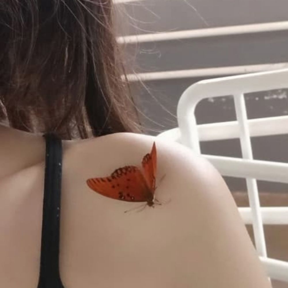 Butterfly 