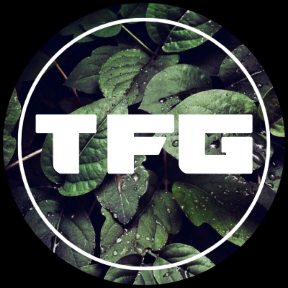 Tree Frog Grading