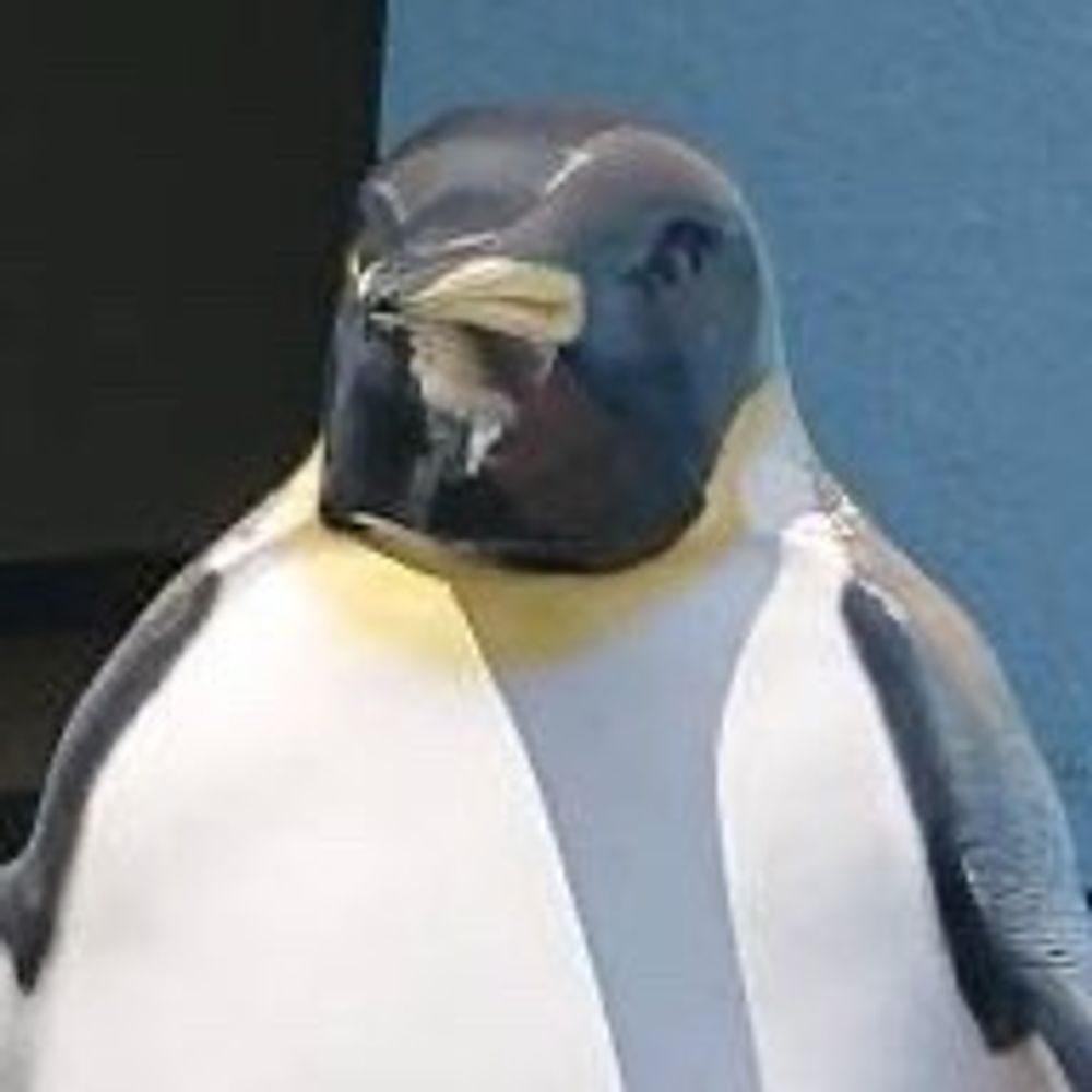 しおあじぽん