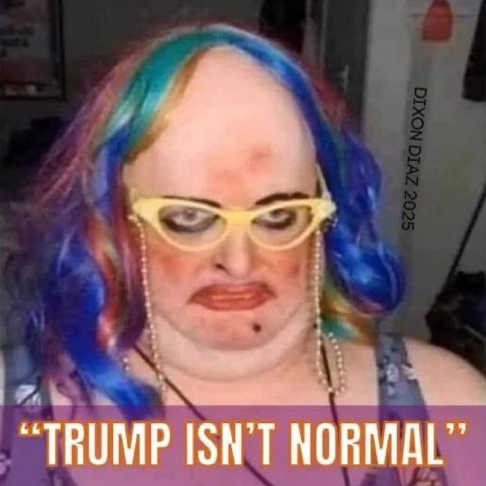 makegreatagain.bsky.social profile picture
