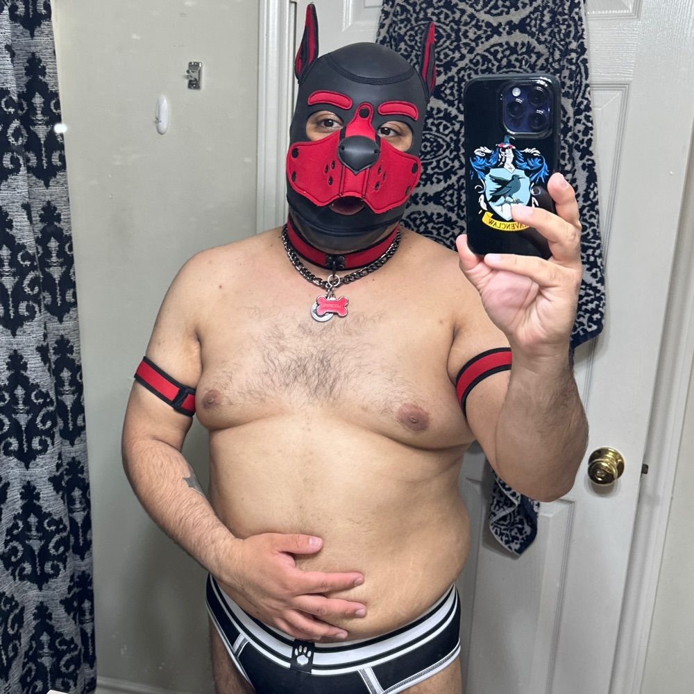 PupLucifer