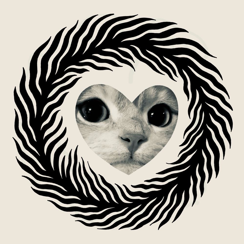 /////:::::::<<<<<•••••