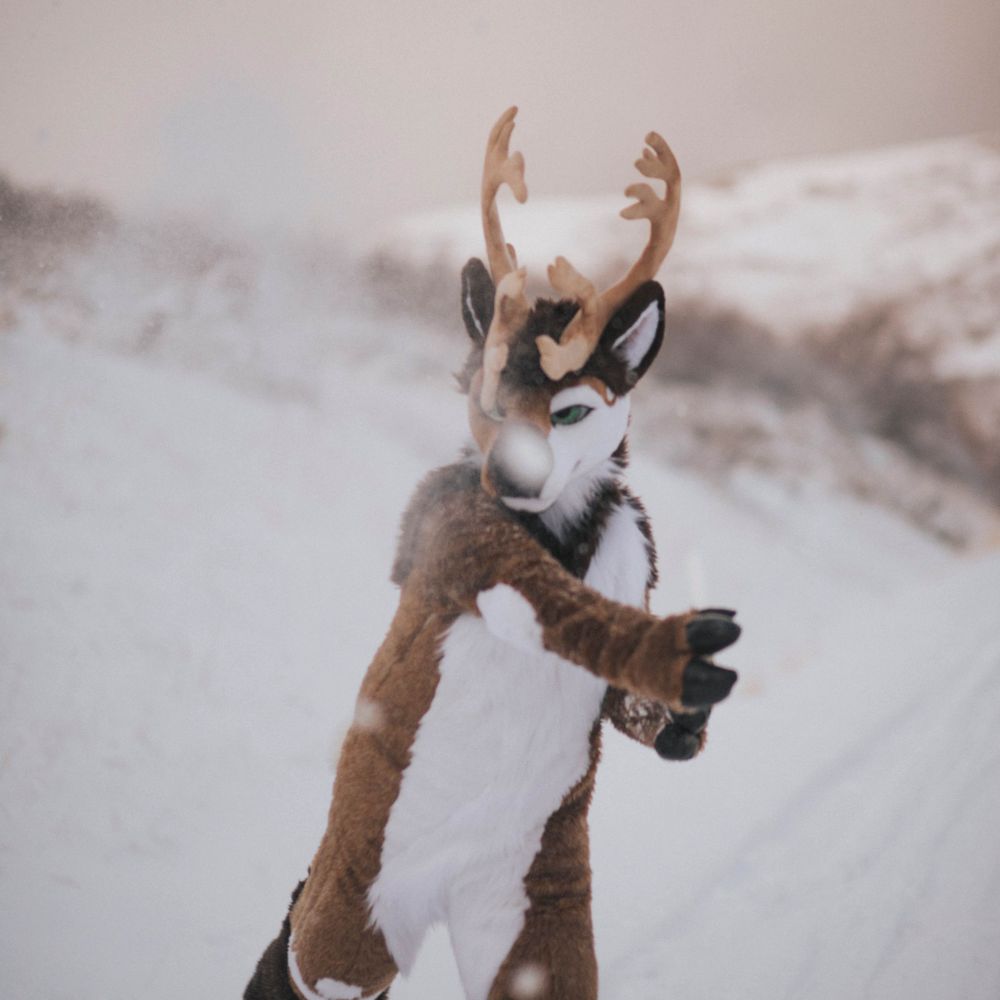 Traveling Bou