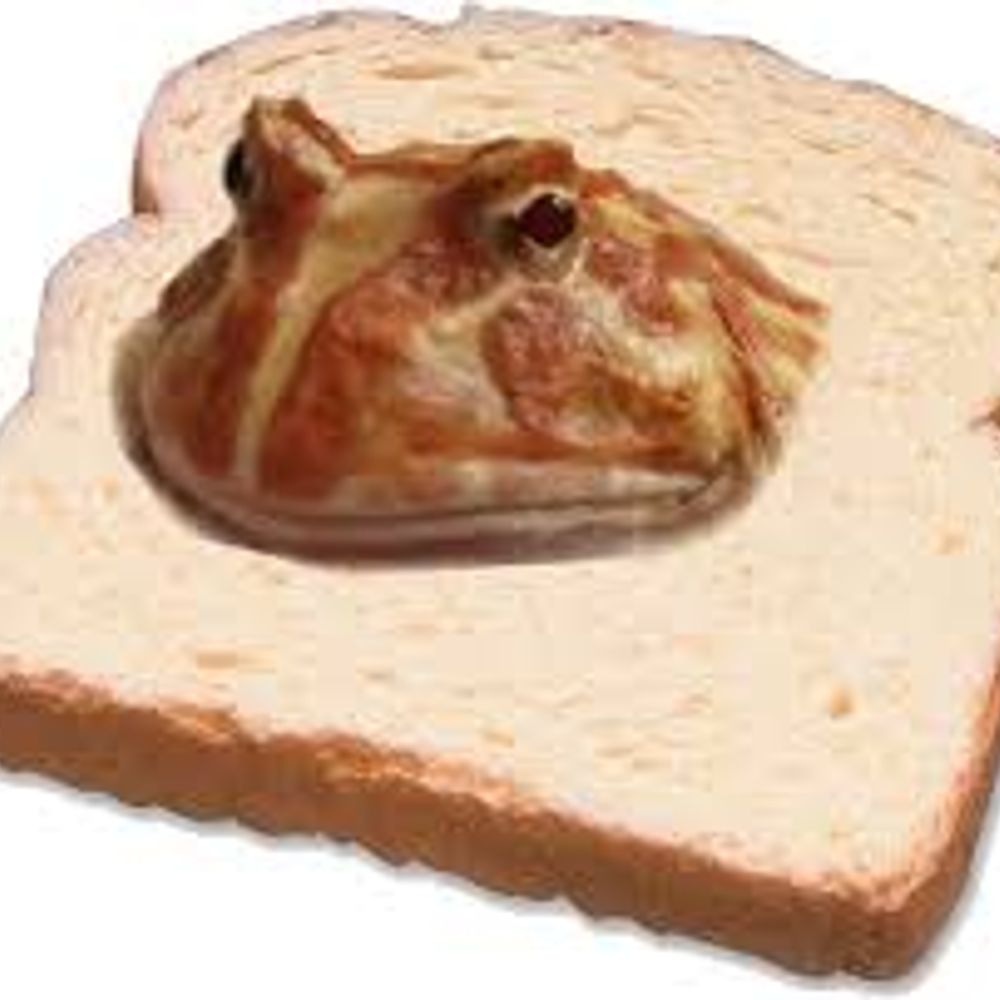 glutenfrog1.bsky.social profile picture