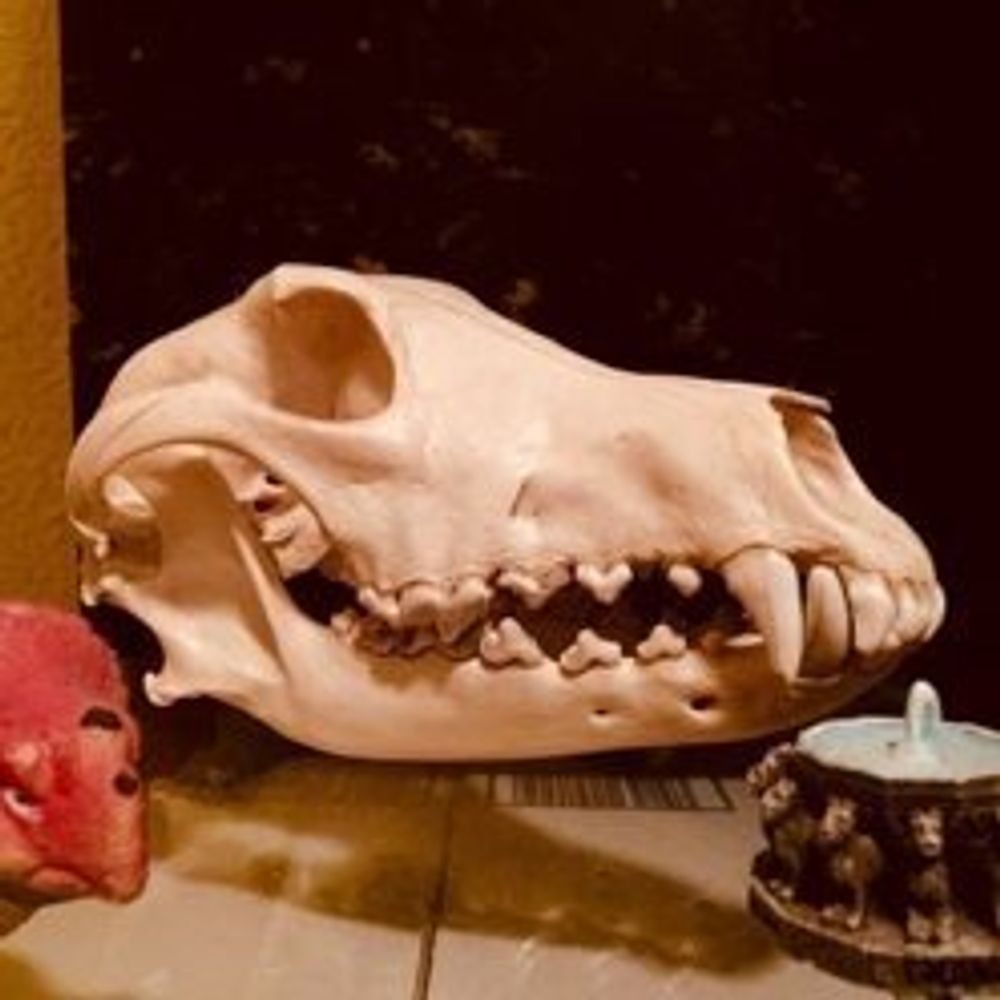 MutantPiranha