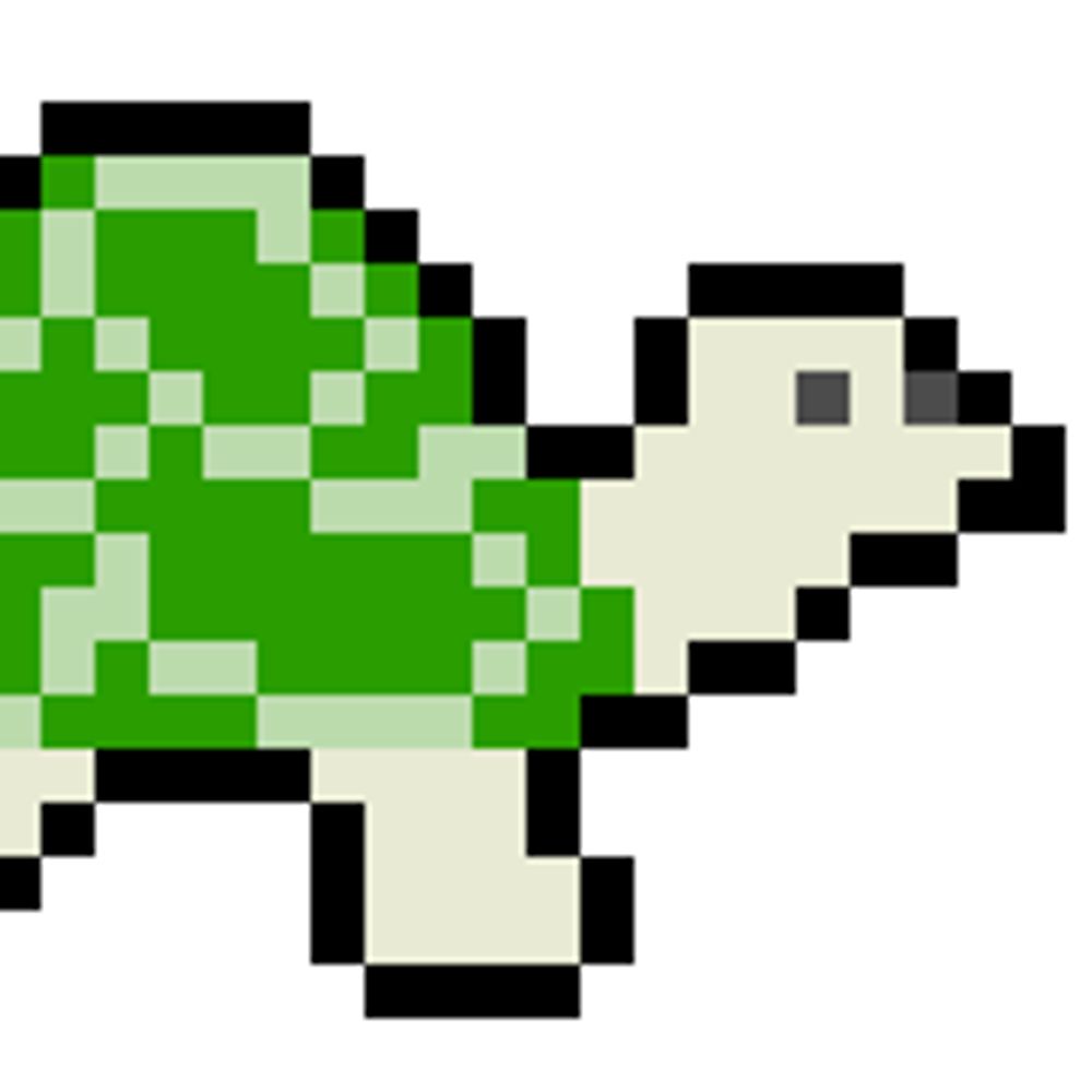 Long Neck Turtle Games