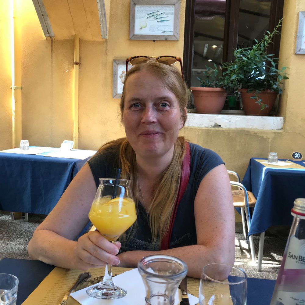 Karen Hamilton-Viall Author 
