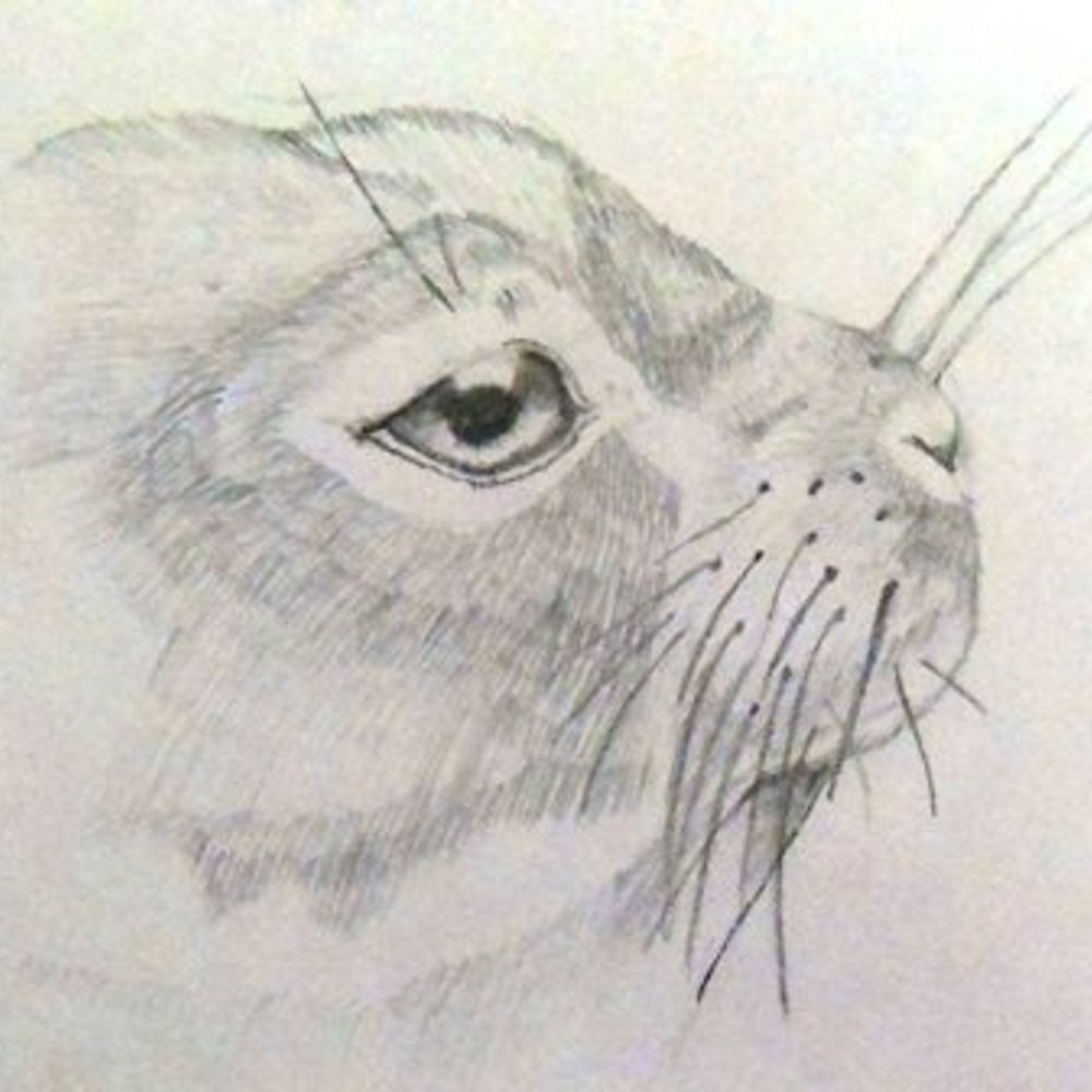 Claire Drake - Artist
