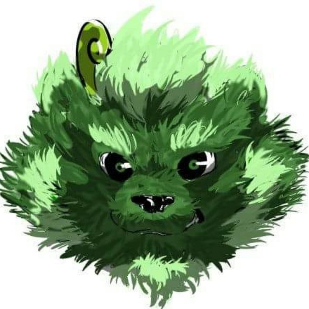 Fofothecat 