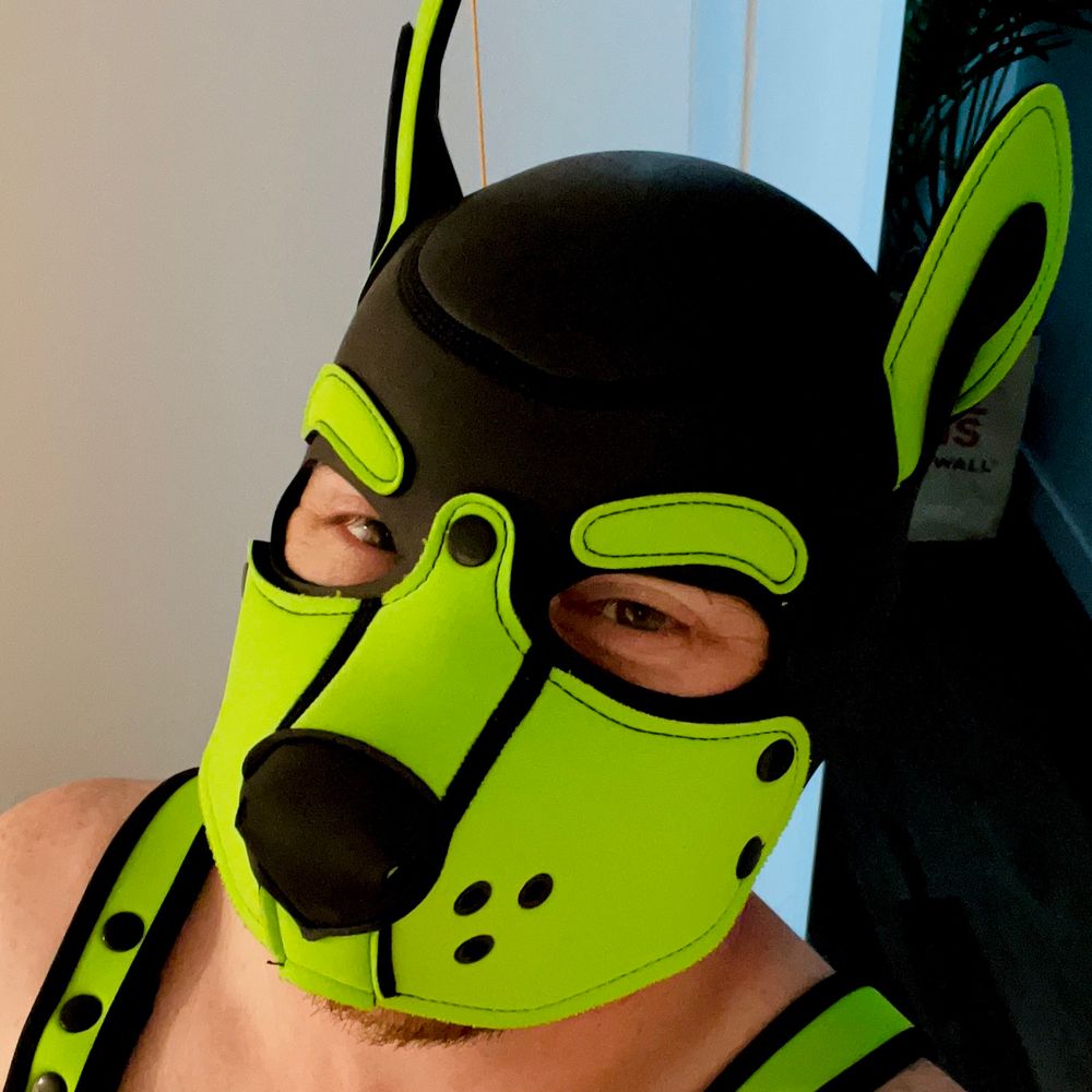 Pup Xane
